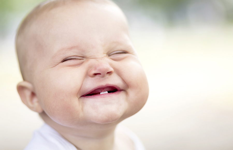 Quando spuntano i denti da latte?